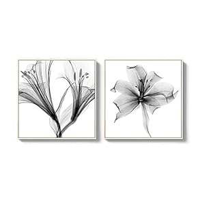2 Piece Framed Canvas Wall Art for Living Room, Bedroom Transparent Flower Canvas Prints for Home Decoration Ready to Hang - 16"x16"x2 Panels