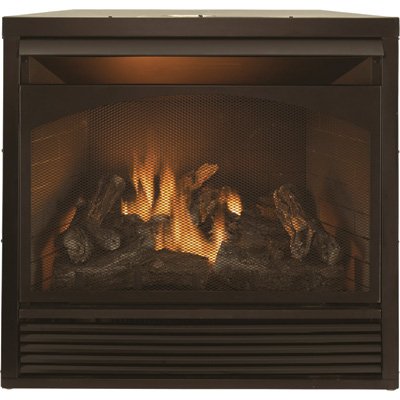 Buy ProCom Dual Fuel Firebox Insert - 32,000 BTU, Model# FBD32RT [Misc.]  Online at desertcartKUWAIT