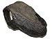 Magnaturals Small Granite Hideaway - Magnetic Decor for Terrarium Reptiles & Amphibians