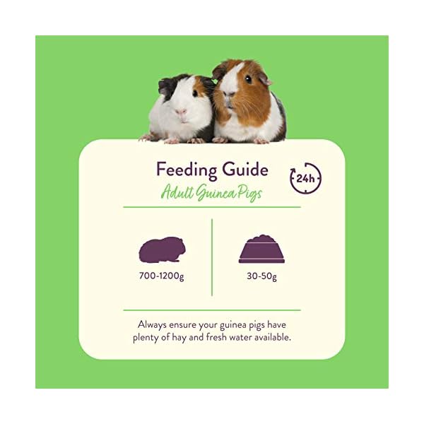 Burgess-Excel-Guinea-Pig-Nuggets-with-Mint-10kg Burgess Excel Guinea Pig Nuggets with Mint, 10kg