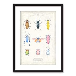 Framed Wall Art - Watercolor Style Insects - Black Picture Frames White Matting - 23x31 inches