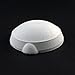 250 Gram Quartz Silica Smelting Bowl Dish Melting Crucible For Gold Silver Metal