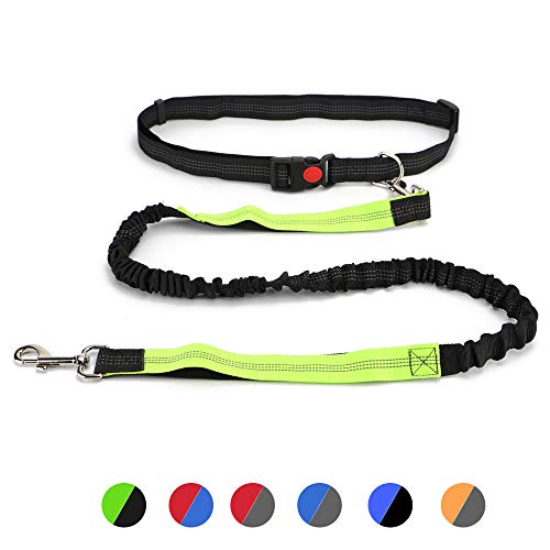 retractable rope dog leash