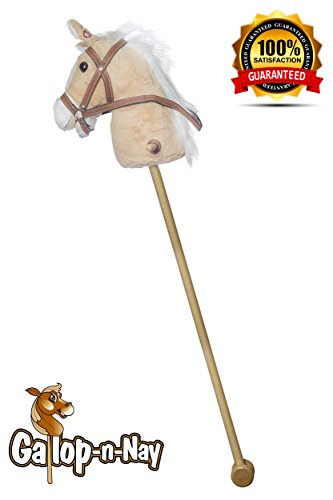 2 Giddy+Up+Cowboys+Cowgirls+Rolling+Gallop+n+Nay