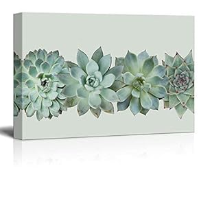 Closeup of Succulent Plants Gallery - Canvas Art Wall Art - 12"x18"