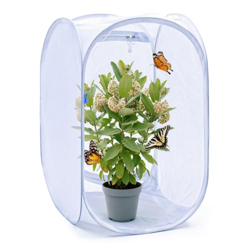 GDanes Pop-up Butterfly Habitat