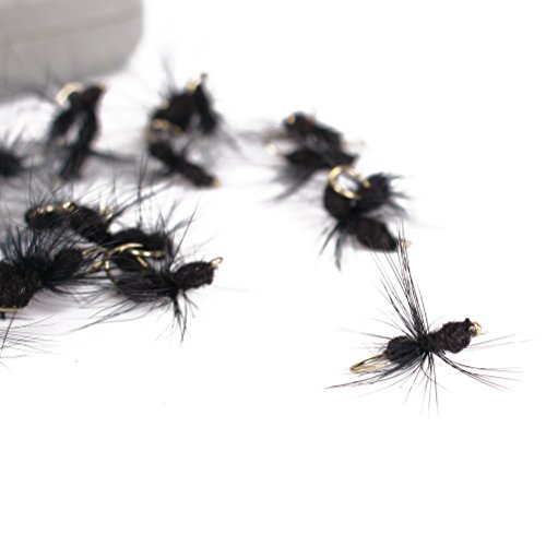 Newshot Mouches De Pêche à La Mouche, Kit De 40 Leurres Secs Pour Fourmis Avec Boîte Pour Truite, Chevesnes