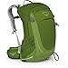 Osprey Sirrus 24 Women's Hiking Backpack