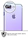 iPhone 8 Plus Case, iPhone 7 Plus Case, Ansiwee Colorful Clear Shell Super Slim Case Translucent Impact Resistant Flexible TPU Bumper Protective Case for Apple iPhone 7 Plus and 8 Plus (BluePurple)