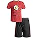 Warner Bros. The Flash Toddler Boys Athletic Performance T-Shirt Mesh Shorts Set Red/Black 4T