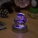 Kaitnax 3D Laser Etched Crystal Ball(50mm) Puzzle with LED Base (Charizard)