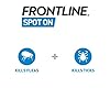 FRONTLINE Spot On Flea & Tick Treatment for Cats - 6 Pipettes
