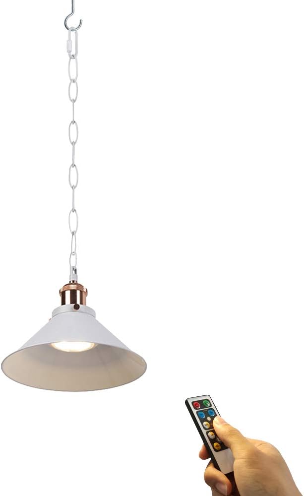 ANYE 1-Light 100 Lumens LED Not Hardwired Remote Control Battery Dimming Indoor Outdoor Iron Chain Hook White Pendant Light for Aisle Bedroom Battery Not Included