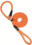Mighty Paw Slip Lead Dog Leash