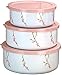 Corelle Coordinates by Reston Lloyd 6-Piece Enamel on Steel Bowl/Storage Set, Cherry Blossom