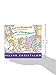 Cinco monitos brincando en la cama/Five Little Monkeys Jumping on the Bed (A Five Little Monkeys Story) (Spanish and English Edition)