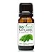 BioFinest Bay Laurel Oil - 100% Pure Bay Laurel Essential Oil - Boost Mental Alertness, Fight Fatigue - Premium Quality - Therapeutic Grade - Best For Aromatherapy - FREE E-Book (10ml)