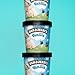 Ben & Jerry's - Vermont's Finest Ice Cream, Non-GMO - Fairtrade - Cage-Free Eggs - Caring Dairy - Responsibly Sourced Packaging, Vanilla, Pint (4 Count)