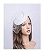 Cizoe Fascinators Hats 20s 50s Hat Pillbox Hat Cocktail Tea Party Headwear with Veil for Girls and Women(B-White)