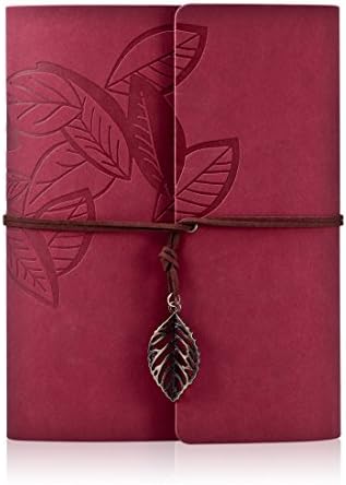 Rymall Retro Photo Album, DIY PU Leather Family Photo Album Anniversary Sketchbook, Wedding Album-60Pages (Wine Red)