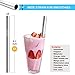 Stainless Steel Straws,Set of 9