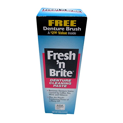 Fresh 'n Brite Denture Cleaning Paste, 3.8 Ounce (Pack of 2) Buy