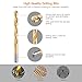 Drill Bits set, TACKLIFE DB01 Titanium Drill Bit Set 25 pcs-20pcs HSS Twist Drill Bits for Steel, Wood, Plastic,5 Spade Drill Bit Set for Wood,Advanced Set with Moulded Display Carry Case
