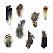 8 kinds of feather ALL in ONE Assorted for DIY, Dream Catcher, Craft （18pcs -22pcs)
