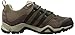 Adidas Outdoor Men's Brushwood Mesh Gore-Tex Hiking Shoe