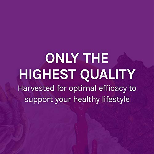 Host-Defense-MyCommunity-Capsules-Advanced-Immune-Support-Mushroom-Supplement-with-Lions-Mane-Reishi-Vegan-Organic-Gluten-Free-120-Capsules-60-Servings
