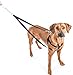 2 Hounds Design Freedom No-Pull Dog Harness with Leash, Large, 1-Inch Wide, Raspberry