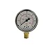 Paramount 005-302-3590-00 Pressure Gauge