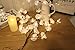 Fine Phalaenopsis Tree Branch Lights - Led Branches Battery Powered Decorative Lights Tall Vase Filler Willow Twig Lighted Branch for Home Party Garden Decoration (White)