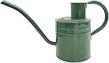 Kent & Stowe 1L Indoor Watering Can Sage Green Galvanised Steel