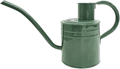 Kent & Stowe 1L Indoor Watering Can Sage Green Galvanised Steel