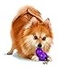 PetSafe Busy Buddy Barnacle - Dog Chew Toy - Treat Dispensing Dog Toys primary