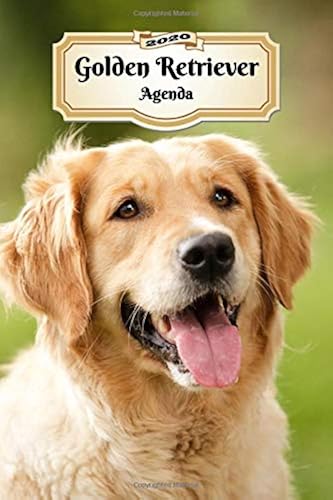 Download 2020 Golden Retriever Agenda: 107 Pagine | Dimensioni DIN A5 | Pianificatore Settimanale | 12 Mesi | Due Pagine Per Settimana | Calendario | Diario | Cane PDF