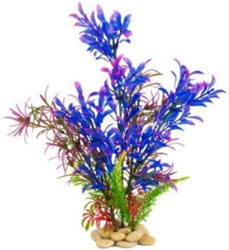 Amazon Co Jp Seedville 100オレンジ英語マリーゴールド スコッチ ポットマリーゴールド キンセンカオフィシナリスの花の種 ホーム キッチン