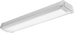 Lithonia Lighting 4 Foot LED Light