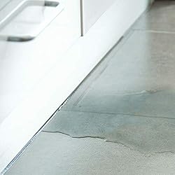 Phyn Plus Smart Water Assistant