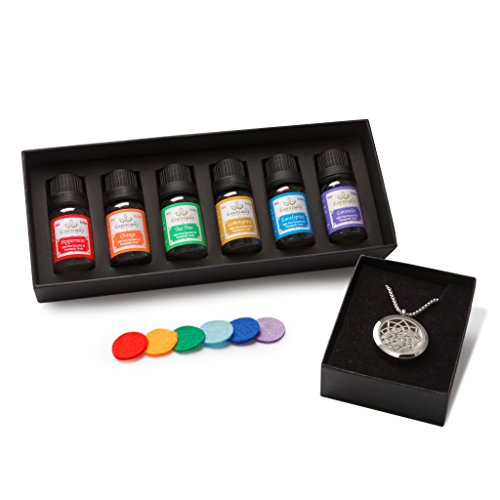 Aromatherapy essential oils & necklace kit - profes…