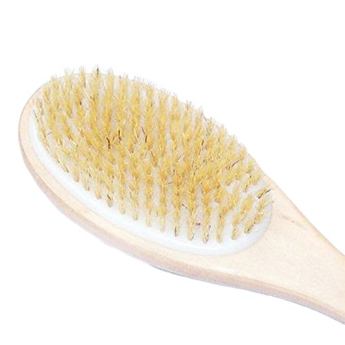 Long Wooden Handle Back Rubs Massager Bath Brush Dual Head