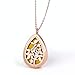 TT-star Teardrop Aromatherapy Essential Oil Diffuser Necklace Locket Pendant with 8 Refill Pads(Rose Gold)