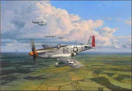 American Eagle, by Robert Taylor - 450 Signed and Numbered Prints