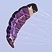 Besra Huge 74inch Dual Line Parachute Stunt Kite with Flying Tools 1.9m Power Parafoil Kitesurfing Training Kites Outdoor Fun Sports for Beach (74inch Purple)