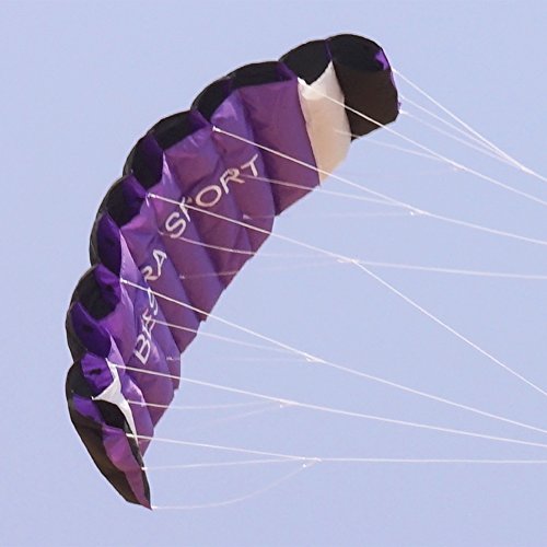 Besra New Arrival Huge 74inch Dual Line Parachute Stunt Kite with Flying Tools 1.9m Power Parafoil Kitesurfing Training kites Outdoor Fun Sports for Beach (74inch Purple)