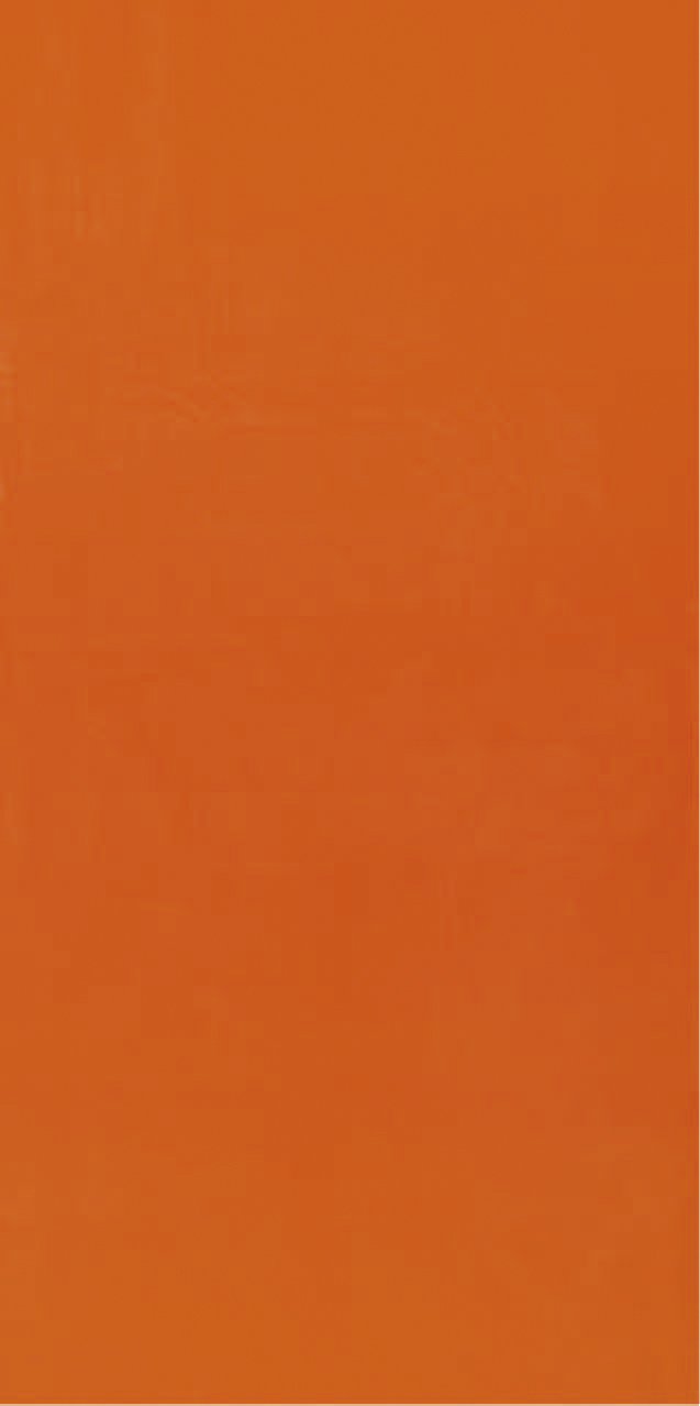 Bahia Collection by DohlerOrange Brazilian Velour Beach or Pool 30X60 Inches