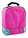 Vampirina Girl's Dual Compartment Insulated Soft Lunch Box (Purple/Multi)