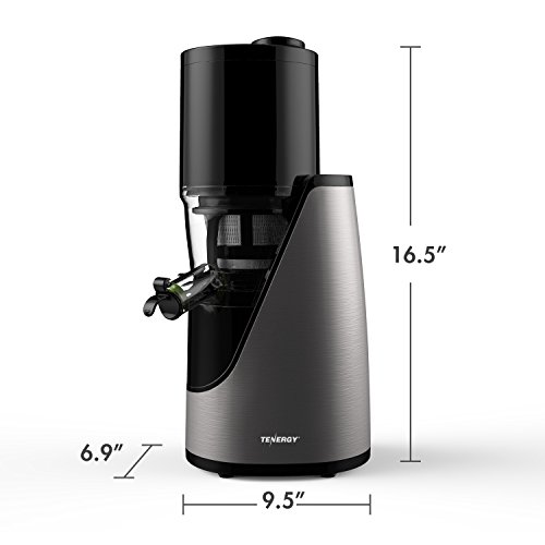 Tenergy Masticating Juicer, Anti-Oxidation Slow Speed Cold Press Juicer, High Nutrient Fresh Vegetable and Fruit Juice Extractor, Easy to Clean Juicer with Jug and Brush