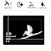 [2 Pack] Surface Go Screen Protector, ACdream Premium HD Clear Tempered Glass Screen Protector for New Microsoft Surface Go 2018 Model